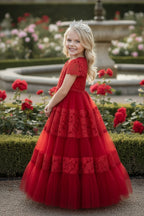 CATERINA DRESS CRIMSON