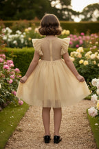 MILLY DRESS SPARKLING CHAMPAGNE