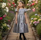 GRACYN GOWN SILVER